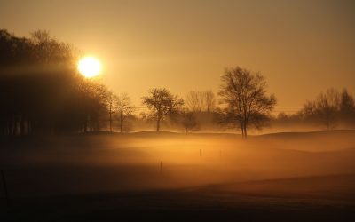 sunrise-magic-landscape-on-a-foggy-february-morning-at-the-golf-court-all-is-silence-beautiful-an_t20_pRJR3O-400x250 Blog