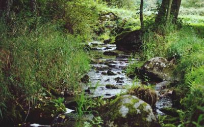 nominated-a-river-cuts-through-rock-because-of-its-persistance_t20_JzRK24-400x250 Blog